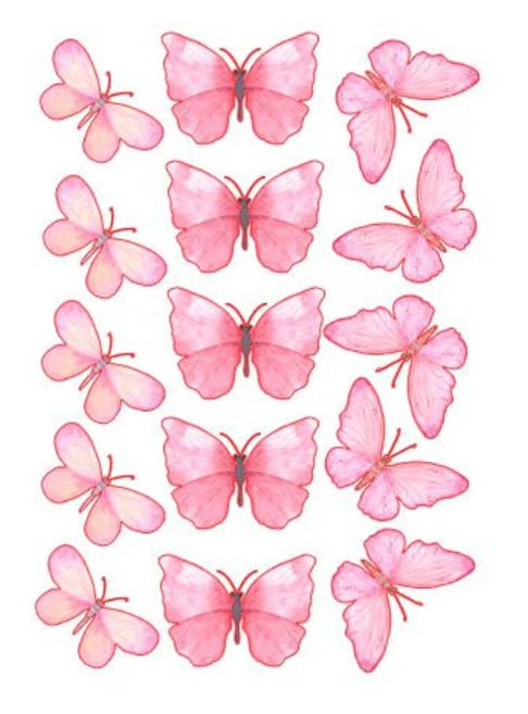 Bright Pink Wafer Paper Butterflies - layout
