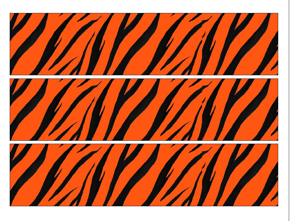 Tiger Print Cake Strip 2.5" x 10"