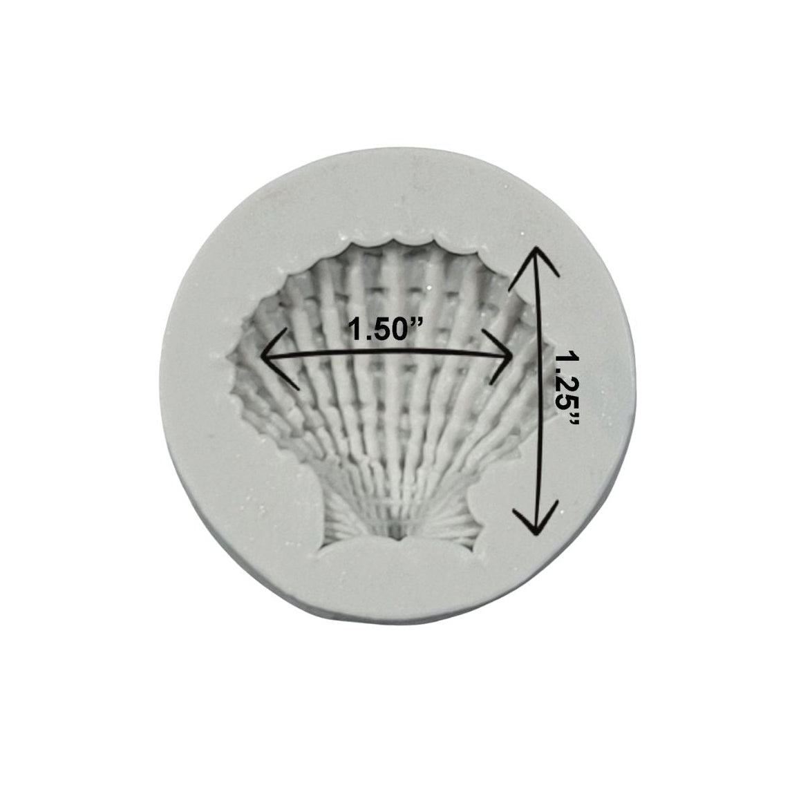 Large Seashell Silicone Mold - 1